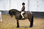SBM_008976