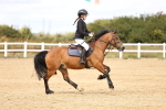 SBM_007388