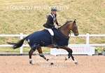 BPP_0246