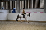 Class 11 Ridden PC - RC Pony portfolio