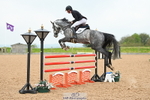 Cls 8 Snr Foxhunter portfolio