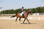 SBM_005087