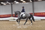 BPP_7997