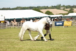 SBM_07147