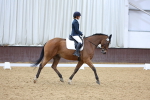 SBM_004705