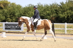SBM_009302