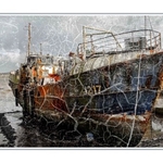 1st Print Robbie Daley J217