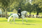 SBM_62399
