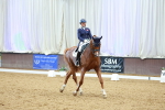 SBM_006038