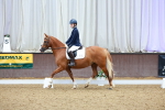 SBM_000434