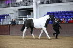 SBM_5248