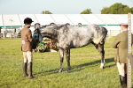 SBM_20519