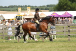 SBM_06907