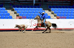 3HRodeo8-11-25_PRCASteer_03877_