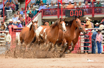 Professional Rodeo portfolio