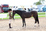 SBM_04471