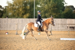 SBM_31578