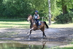 WJ7_4065