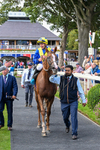 210826-Race 5-Plage De Havre-6884