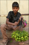India Porbandar boy vegetable seller