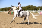 SBM_003207