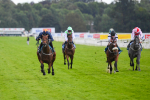 290723-Race 4-Blue Prince-0657