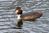 20130421-_MG_2911