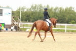 SBM_001810