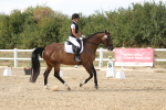 SBM_015801