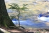 Running Waters 5 12 x 18