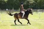 SBM_06872