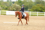 SBM_004704
