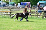 SBM_03692