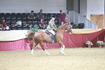 SBM_08138