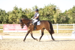 SBM_007686