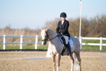 SBM_004831