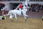 SBM_003622