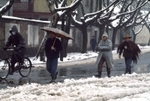 Hangzhou in Winter