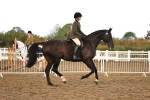 SBM_00679