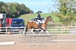 BPP_8349