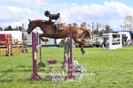 BPP_6473