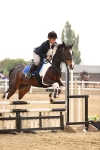 Class 15 - Senior British novice - 90cm portfolio