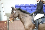 SBM_000950