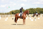 SBM_009336