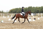 SBM_003879