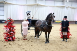 Indoor Arena - 12-9-26 portfolio