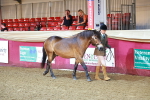SBM_14674