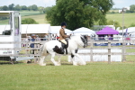 SBM_17244