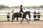 SBM_04189