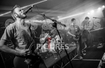 Teaspoonriverneck-306